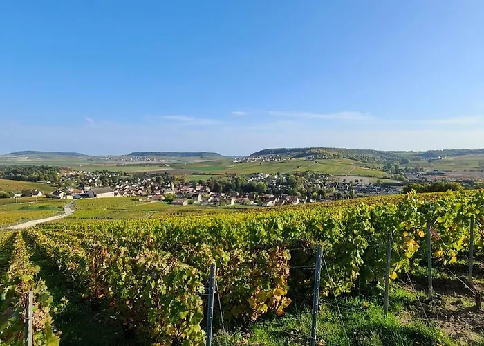 Myl Bulles Holiday home Moussy (Marne)